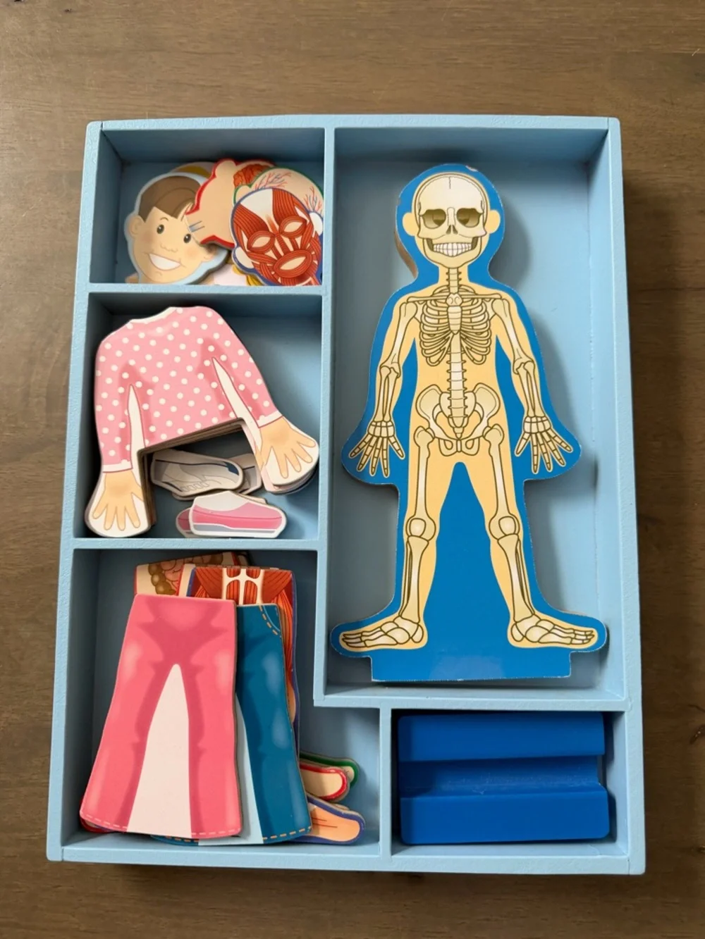 Melissa & Doug Magnetic Human Body Anatomy Play Set with 24 pcs and Storage Tray
